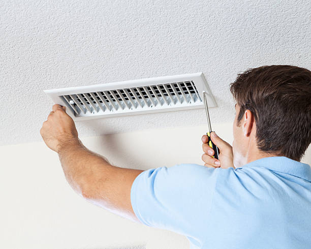 Best Asbestos and Lead Testing During Mold Inspection  in Fairview Shores, FL